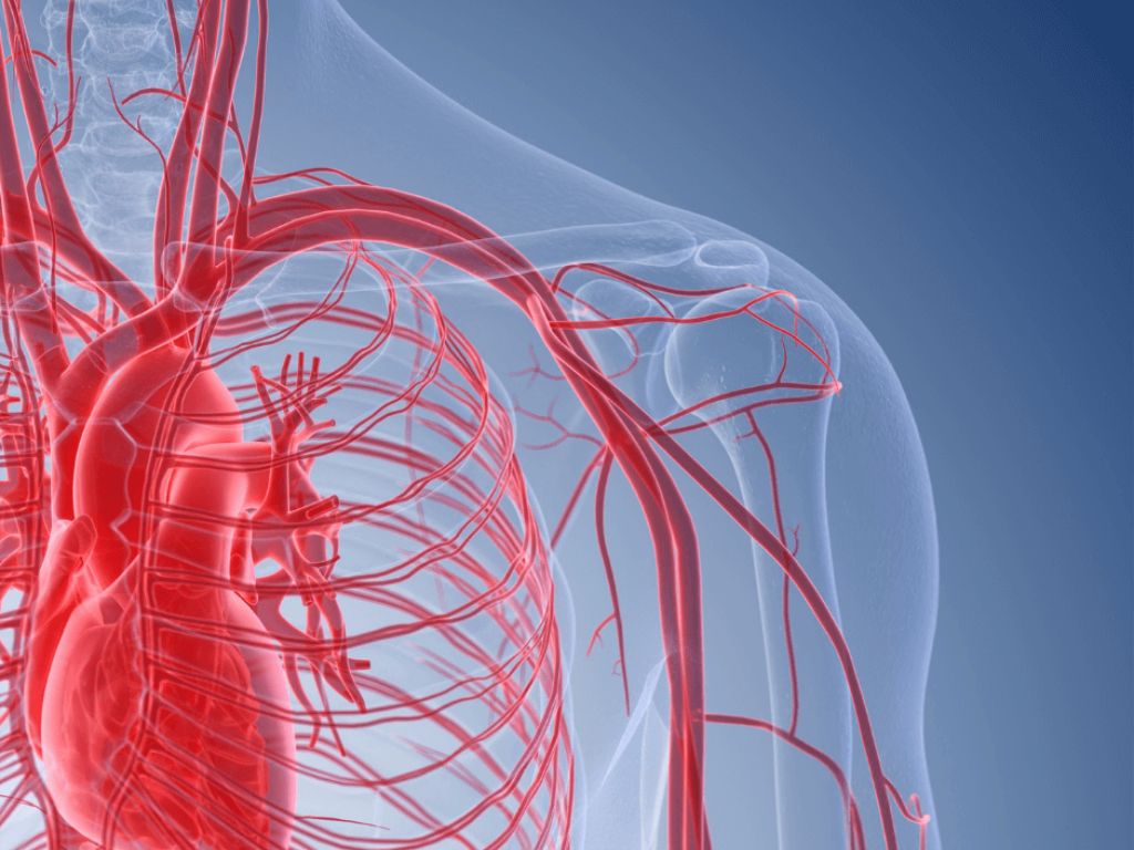 angiologia a Frosinone